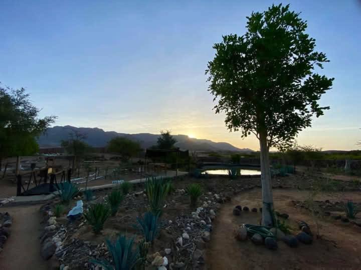 Brandberg White Lady Lodge Uis Экстерьер фото