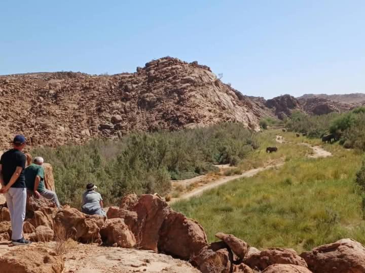 Brandberg White Lady Lodge Uis Экстерьер фото