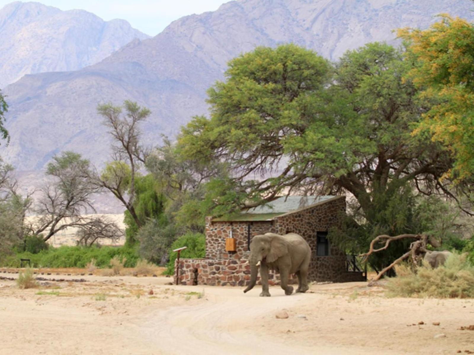 Brandberg White Lady Lodge Uis Экстерьер фото