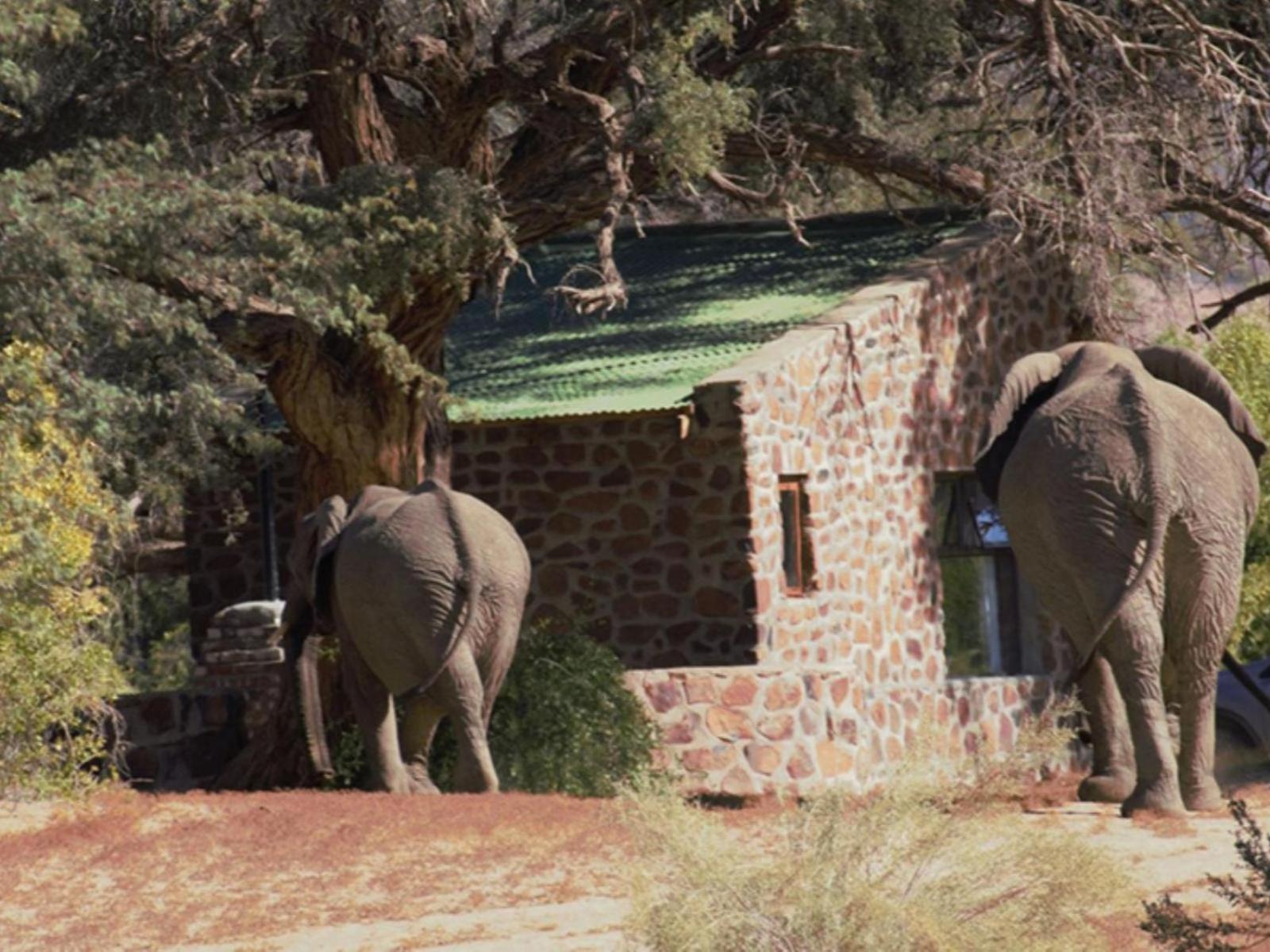 Brandberg White Lady Lodge Uis Экстерьер фото