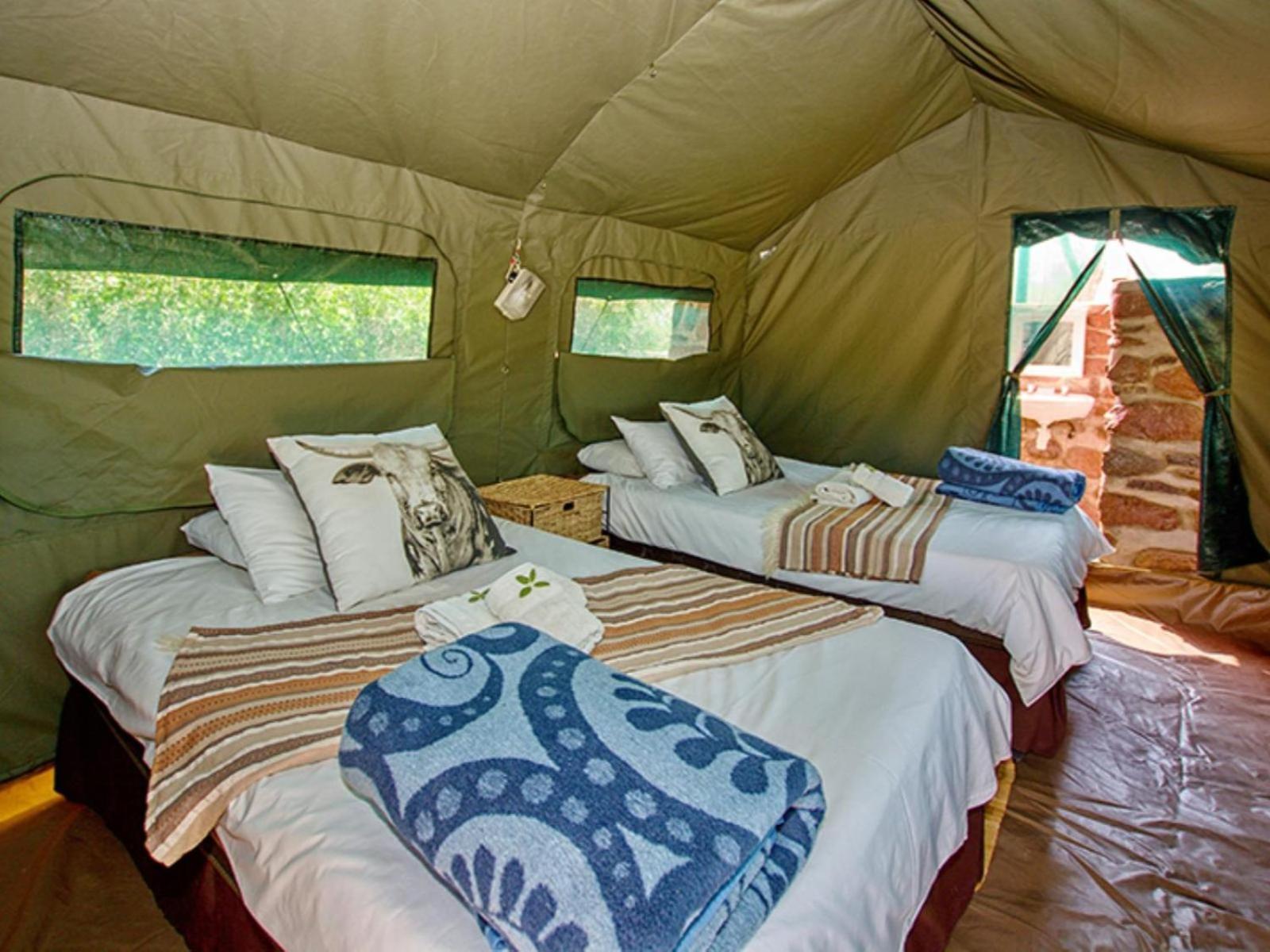 Brandberg White Lady Lodge Uis Экстерьер фото